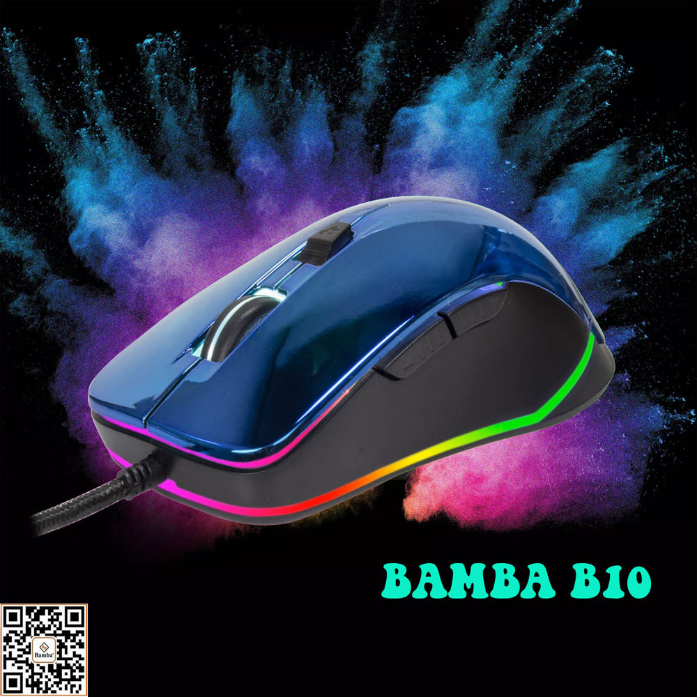 Mouse BAMBA B10